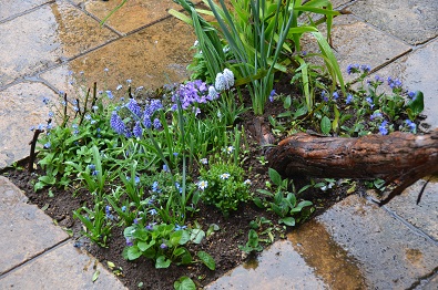 f:id:mitioyoneko:20160319105254j:image f:id:mitioyoneko:20160319105254j:image