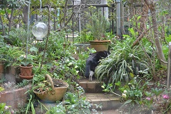 f:id:mitioyoneko:20160323151001j:image