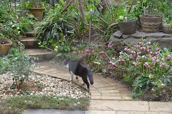 f:id:mitioyoneko:20160323151002j:image