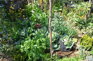 f:id:mitioyoneko:20160329104723j:image