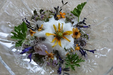 f:id:mitioyoneko:20160914100617j:image f:id:mitioyoneko:20160914100617j:image