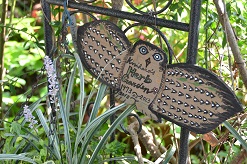 f:id:mitioyoneko:20161004123954j:image