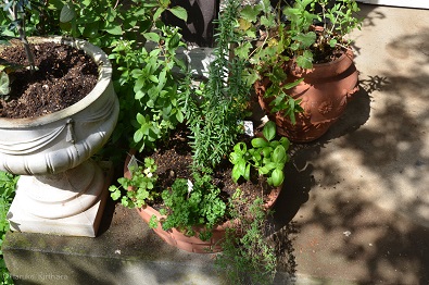 f:id:mitioyoneko:20161004123959j:image