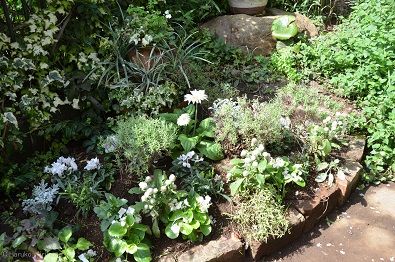 f:id:mitioyoneko:20161004124003j:image