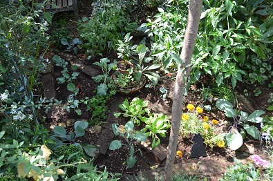 f:id:mitioyoneko:20161004124443j:image