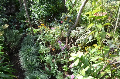 f:id:mitioyoneko:20161004124444j:image