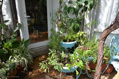 f:id:mitioyoneko:20161004124445j:image