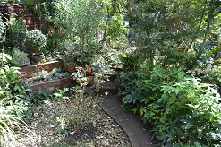 f:id:mitioyoneko:20161004124446j:image