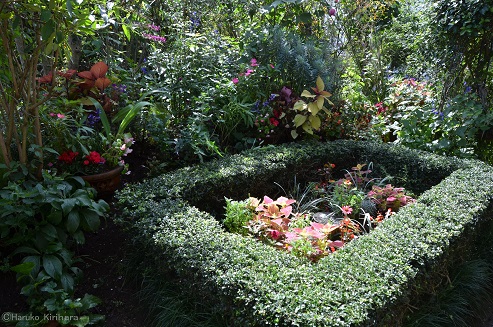 f:id:mitioyoneko:20161004124450j:image