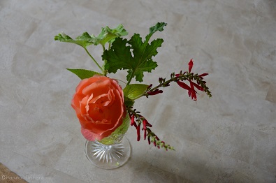 f:id:mitioyoneko:20161101123704j:image f:id:mitioyoneko:20161101123704j:image