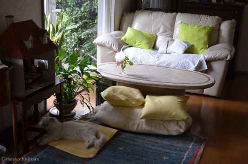 f:id:mitioyoneko:20161101123705j:image f:id:mitioyoneko:20161101123705j:image