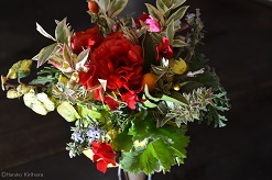 f:id:mitioyoneko:20170118094530j:image