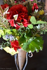 f:id:mitioyoneko:20170118094531j:image