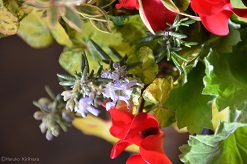 f:id:mitioyoneko:20170118094534j:image