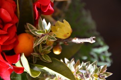 f:id:mitioyoneko:20170118094535j:image