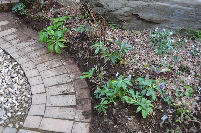 f:id:mitioyoneko:20170211161759j:image