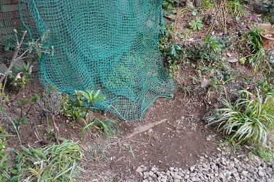 f:id:mitioyoneko:20170211165022j:image