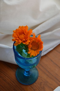 f:id:mitioyoneko:20170221101400j:image