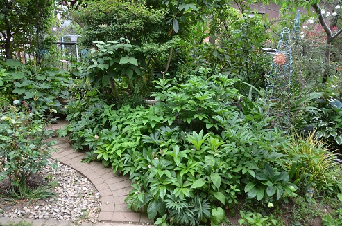 f:id:mitioyoneko:20170509163818j:image