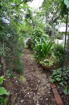 f:id:mitioyoneko:20170514124051j:image