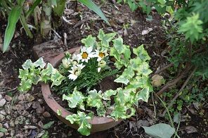 f:id:mitioyoneko:20170514124232j:image