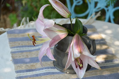 終る花始まる花 ユリ オオボウシバナ カライトソウ クロコスミア 桐原春子の ハーブダイアリー