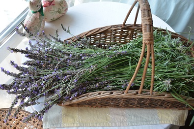 f:id:mitioyoneko:20170714220546j:image f:id:mitioyoneko:20170714220546j:image