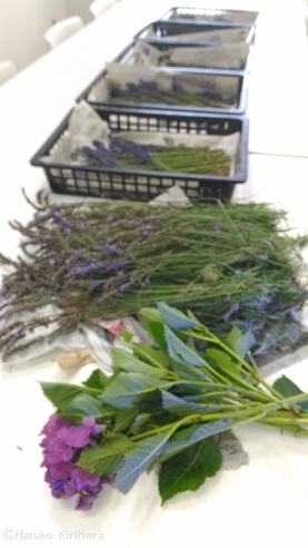 f:id:mitioyoneko:20170714220901j:image f:id:mitioyoneko:20170714220901j:image