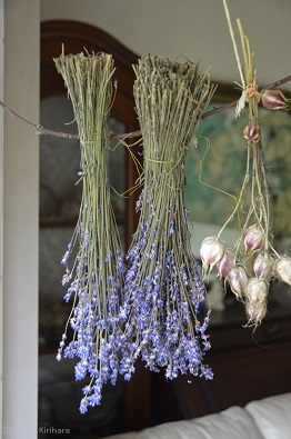 f:id:mitioyoneko:20170717134920j:image