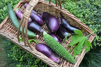 f:id:mitioyoneko:20170830174038j:image f:id:mitioyoneko:20170830174038j:image