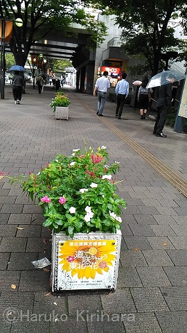 f:id:mitioyoneko:20171013201957j:image f:id:mitioyoneko:20171013201957j:image