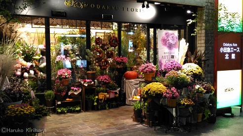 f:id:mitioyoneko:20171013202001j:image f:id:mitioyoneko:20171013202001j:image