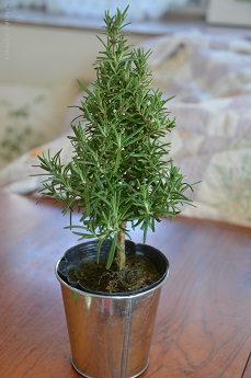 f:id:mitioyoneko:20171118140829j:image