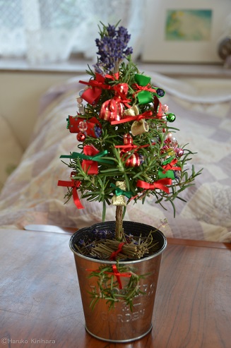 f:id:mitioyoneko:20171118141036j:image f:id:mitioyoneko:20171118141036j:image