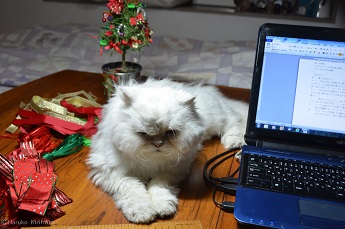 f:id:mitioyoneko:20171118145544j:image f:id:mitioyoneko:20171118145544j:image