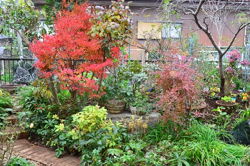 f:id:mitioyoneko:20171208101438j:image