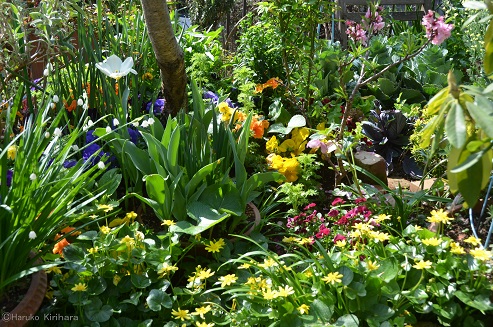 f:id:mitioyoneko:20180329110709j:image