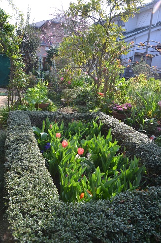 f:id:mitioyoneko:20180329110720j:image