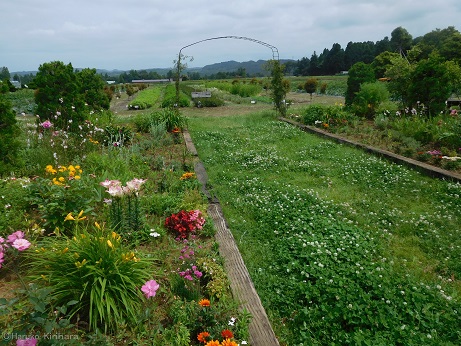 f:id:mitioyoneko:20180527153937j:image