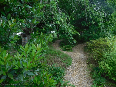 f:id:mitioyoneko:20180527153942j:image