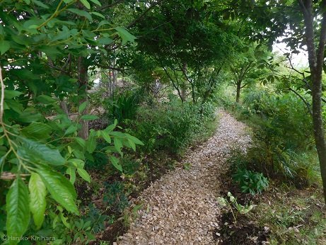 f:id:mitioyoneko:20180527153949j:image