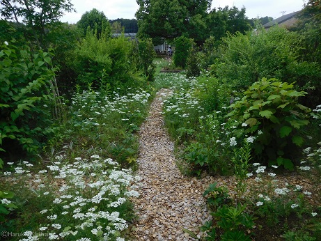 f:id:mitioyoneko:20180527153954j:image