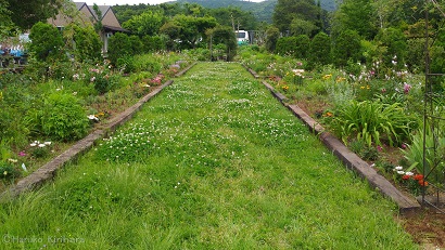 f:id:mitioyoneko:20180527154901j:image