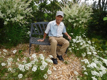 f:id:mitioyoneko:20180527160158j:image