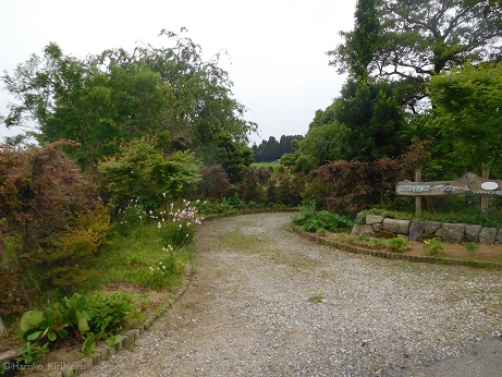 f:id:mitioyoneko:20180527172201j:image