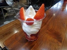 f:id:mitioyoneko:20180527173054j:image