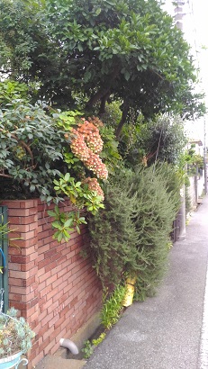 f:id:mitioyoneko:20180727221038j:image f:id:mitioyoneko:20180727221038j:image
