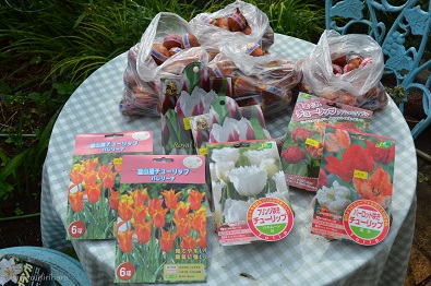 f:id:mitioyoneko:20181120213728j:plain f:id:mitioyoneko:20181120213728j:plain