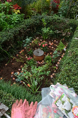 f:id:mitioyoneko:20181120213946j:plain f:id:mitioyoneko:20181120213946j:plain