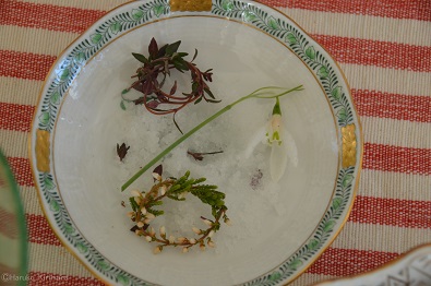 f:id:mitioyoneko:20190116105742j:plain f:id:mitioyoneko:20190116105742j:plain